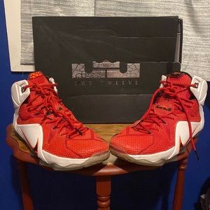 Lebron 12 lion heart